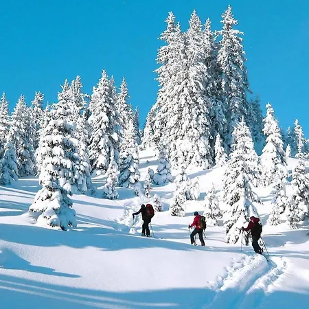 Holiday Erzberg Alpin - Osm02507-eyh *